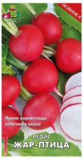 Семена Редис Жар-Птица (А) (Поиск)