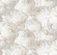 Обои 585331 Victoria Stenova Peony (1,06х10) (6)