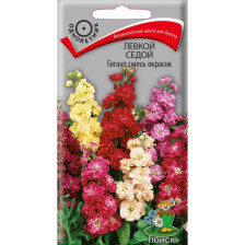 Семена Левкой седой серия Гигант Смесь окрасок (Поиск)