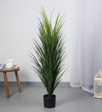 Дерево иск Пандаус 120см 10697956