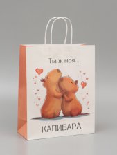 Пакет бумажный 24х10,5х32 см Моя Капибара 10679357