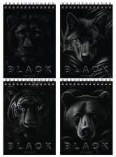 Блокнот А5 40 л BG Just black, на гребне