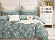 КПБ сатин набивной Cleo Satin de Luxe 0090-SK 50х70+70х70, Дуэт