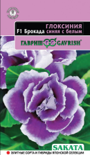 Семена Глоксиния Брокада синяя с белым 5шт (Гавриш)