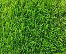 Трава искусственная Шри Ланка h-40мм 1,0м