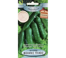 Семена Огурец Феникс Плюс (ЛМС) (Поиск)