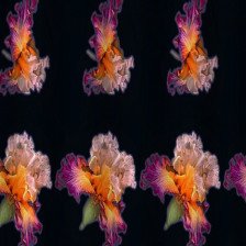 Штора для ванной комнаты 180х180см САНАКС ЦВЕТЫ без колец 01-61