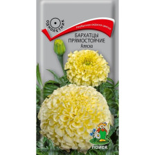 Семена Бархатцы прямостоячие Аляска (Поиск)