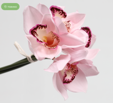 Букет искусственный Орхидеи 4 стебля 24,5 см розовый