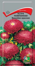 Семена Астра помпонная Вишнево-красная (Поиск)