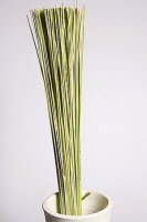 Ветки декор  ротанг 350г 70 см зеленые