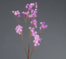 Цветок искусственный Гипсофила 60х16 см светло-сиреневый