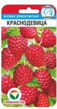 Семена Малина Краснодевица 10шт (Сиб сад) Семена Малина Краснодевица 10шт (Сиб сад)