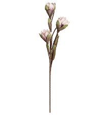 Цветок из фоамирана Магнолия весенняя В1000