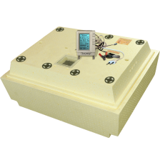 Инкубатор бытовой "Золушка-2020" 100/220/12 ручной переворот