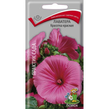 Семена Лаватера Красотка красная (Поиск)