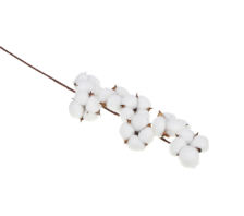 Ветка декор Хлопок 53см 409-158