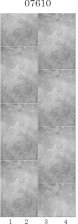 Панели пластиковые Отражение фон 07610 (0,25х2,7) (4 шт) Panda (12)