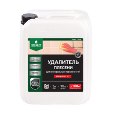 Средство для удаления плесени (концентрат) "PROSEPT FUNGI CLEAN" (5л)