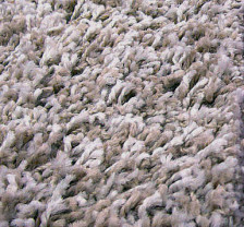 Ковер Фризе Шегги sh/о/57 2,0х3,0м овал (фризе, шегги)