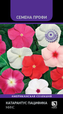 Семена Катарантус Пацифика Микс 10шт (Поиск)