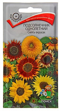 Семена Подсолнечник однолетний Смесь окрасок (Поиск)