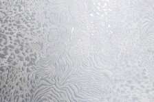 Обои PC71585-14 Prestige Color Wild Fashion 1,06х10 (6)