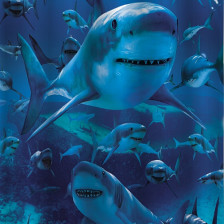 Штора для ванной комнаты 180х200см BRIMIX АКУЛА, фотопечать, без колец 02-03