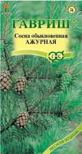 Семена Сосна Ажурная обыкновенная 0,2гр (Гавриш) Семена Сосна Ажурная обыкновенная 0,2гр (Гавриш)