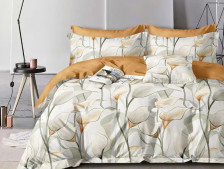 КПБ поплин Pure Cotton 010-PCE 70х70 2 сп Cleo