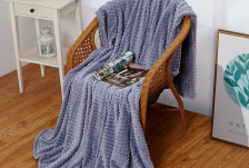 Плед велсофт в чемодане Carre 007-CR голубой Cleo Размер: 200х220