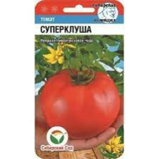Семена Томат Суперклуша 20шт (Сиб сад)