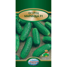 Семена Огурец Маринда F1 п-к (ЛМС) (Поиск)