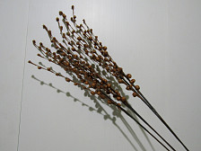 Ветка декоративная с ягодками коричневая 90см 5 шт S543B