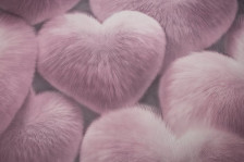 Обои HC72585-15 Палитра 1,06х10 (8)