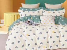 КПБ поплин Pure Cotton 306-PCE 70х70 2 сп Cleo