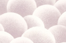 Обои Антураж AN8889-17 Puff 1,06х10,05 (6)