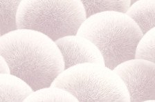 Обои Антураж AN8889-17 Puff 1,06х10,05 (6)