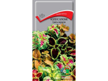 Семена Колеус Блюме Смесь окрасок (Поиск)