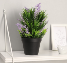 Бонсай "Лаванда с папоротником и травой" 10х28см, микс 4293927