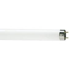 Лампа люминисцентная L 18W/640 G13 Osram
