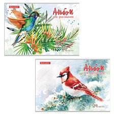 Альбом для рисования 24 л А4 Brauberg Райские птички