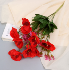 Букет Нимезия галант 5х27см микс 9222776