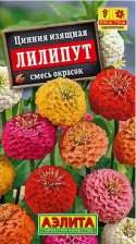Семена Цинния Лилипут 0,03г одн смесь (Аэлита) Семена Цинния Лилипут 0,03г одн смесь (Аэлита)