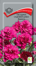 Семена Гвоздика садовая Шабо Маджента 0,1г (Поиск)