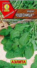 Семена Рукола (индау) Чудесница 0,3гр (Аэлита)