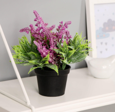 Бонсай в горшке "Лаванда с папоротником" 6,5х12см, микс 4453393