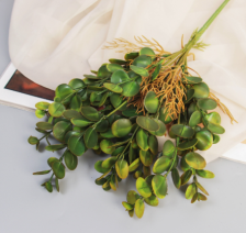 Букет Пеперомия элит 32см микс 10709119