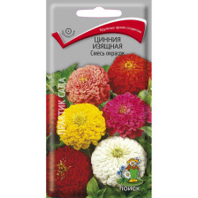 Семена Цинния изящная Смесь окрасок (Поиск)