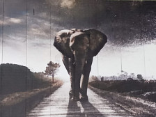 Картина на дереве "Слон" 965х670 мм